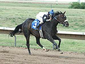 Bridlewood Angel wins the 2014 Spicy Stakes.
