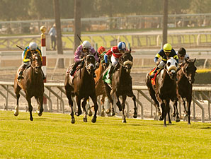 Bright Thought wins the 2013 San Luis Rey.