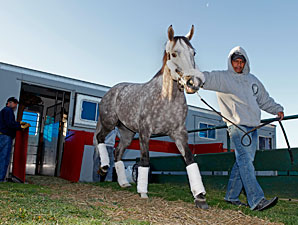 Brightest Rainbow was the first thoroughbred to arrive at Monmouth on Friday morning April 13.
