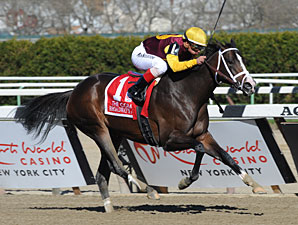 Broadway's Alibi wins the 2012 Comely.