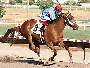 Brookerson wins the ATBA Spring Sales Stakes.