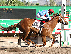 Brookerson wins the ATBA Spring Sales Stakes.