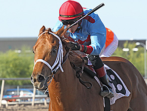 Brookerson wins the ATBA Spring Sales Stakes.