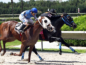 Brothersofthetime wins the 2013 Seacliff Stakes.