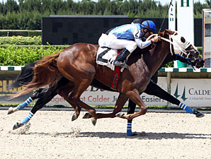 Brothersofthetime wins the 2013 Seacliff Stakes.