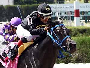 Brothersofthetime wins the 2013 Seacliff Stakes.