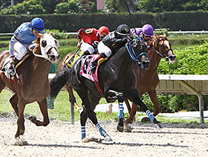 Brothersofthetime wins the 2013 Seacliff Stakes