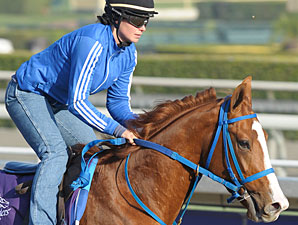 Brown Almighty - Breeders' Cup 2012