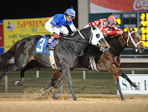 Bubbler wins the 2009 Gallery Furniture Distaff.