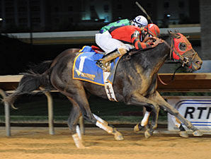 Buckle Bunny Babe wins the 2012 West Virginia Breeders Classic Distaff.