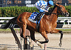 Is Buddy's Saint Still a Derby Threat?