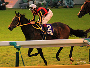 Buena Vista in the Emporer's Cup Fall.