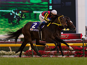 Buena Vista wins the 2011 Japan Cup.