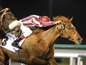 Burano wins the 2012 Meydan Classic.