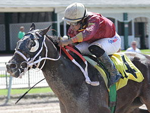 Burning Time wins the 2011 Foolish Pleasure.