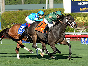 Buster Rose wins the 2014 Canterbury Stakes.