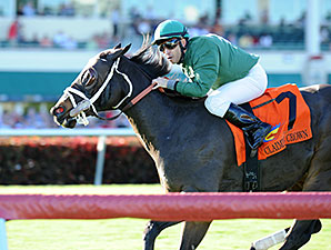 Buster Rose wins the 2014 Canterbury Stakes.