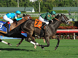 Buster Rose wins the 2014 Canterbury Stakes.