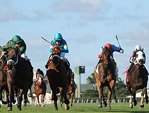 Buster Rose wins the 2014 Canterbury Stakes.