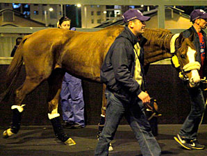 Byword arrives in Hong Kong, December 3, 2011.