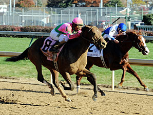 Caleb's Posse wins the Breeders' Cup Dirt Mile.