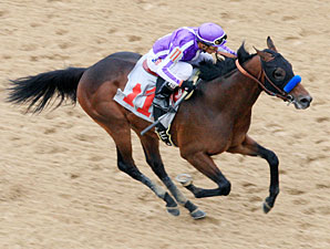 Castaway in the Southwest Stakes.