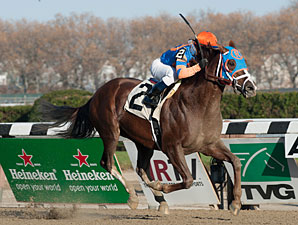 Caixa Eletronica wins the 2012 Fall Highweight.
