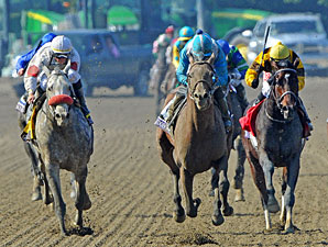 Calidoscopio wins the 2012 Breeders' Cup Marathon.