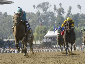 Calidoscopio wins the 2012 Breeders' Cup Marathon.