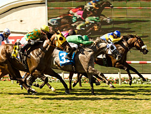 California Flag wins the 2010 Green Flash.