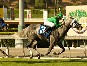 California Flag wins the 2009 Morvich.