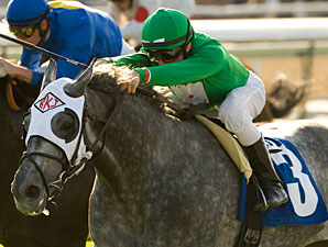 California Flag wins the 2009 Morvich.
