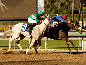 California Nectar wins the 2011 Santa Ynez.
