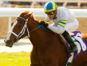 Cambina wins the 2011 La Habra Stakes.