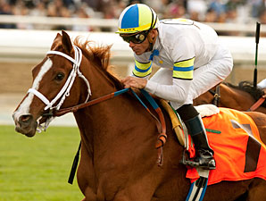 Cambina wins the 2011 Providencia.