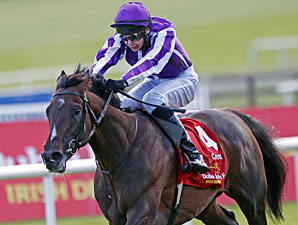 Camelot wins the 2012 Irish Derby.
