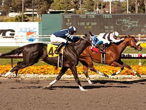 Camp Victory wins the Los Angeles Handicap.