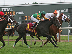 Canadian Ballet wins the 2009 Turf Amazon.