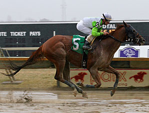 Candyman E wins the 2013 Bensalem Stakes.