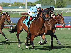 Can'thelpbelieving - Maiden Win, January 11, 2014.