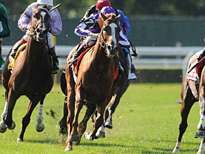 Cape Blanco wins the 2011 Man o' War.