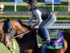 Capital Account at Santa Anita 10/29/2012.