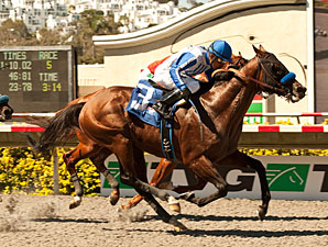 Capital Account wins the 2012 Pat O'Brien.