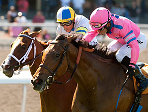 Capital Plan wins the Beverly Hills Handicap.