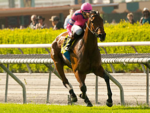 Capital Plan wins the 2012 Santa Barbara.