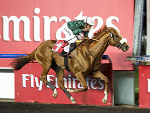 Capponi wins the 2012 Al Maktoum Challenge-Round 3.