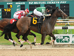 Capt. Candyman Can wins the 2011 Super Stakes.