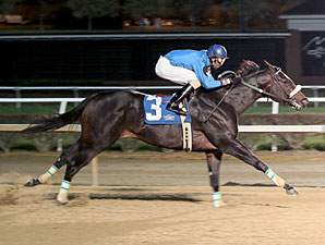 Captain Genius wins the 2012 Sophomore Sprint Championship.