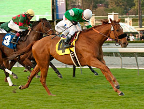 Caracrotado in the 2012 Daytona Stakes.