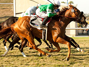 Caracortado wins the 2011 Del Mar Mile